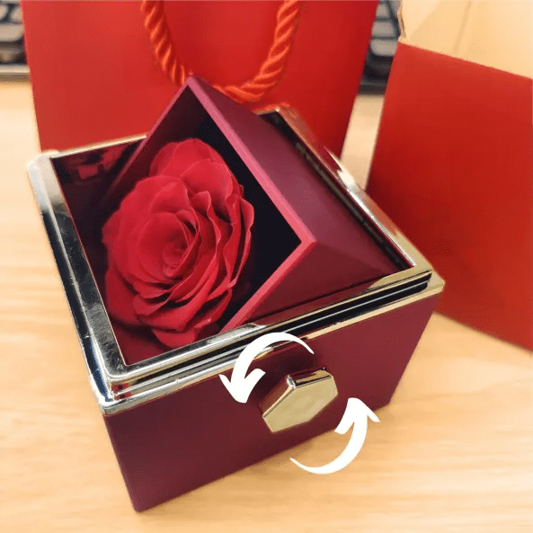 Eternal Rose Box - Necklace with Photo Projection