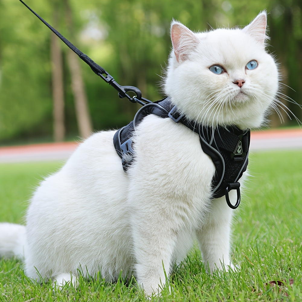 Reflective Cat Harness and Lead Set – Ideal for Walking and Training