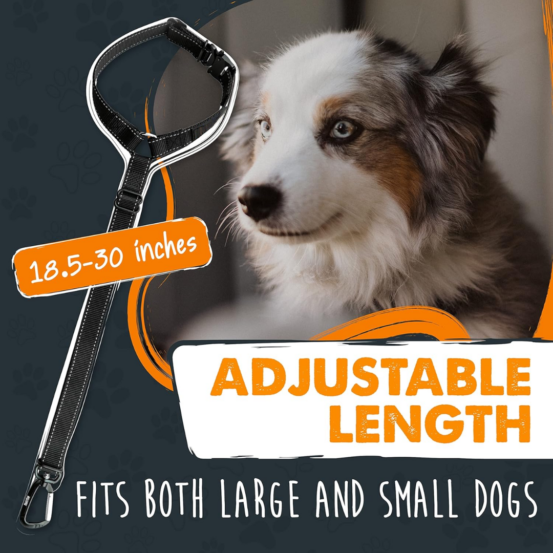 Dog Safety Harness – Secure Your Pet in Seconds!