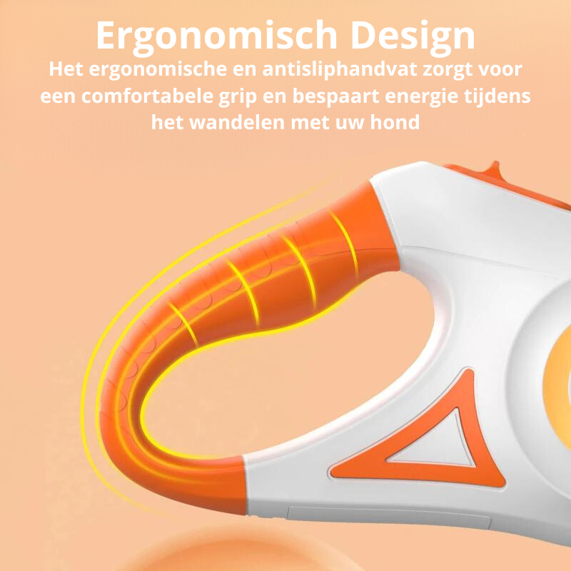 Illuminated Dog Lead with Torch – GlowGuard