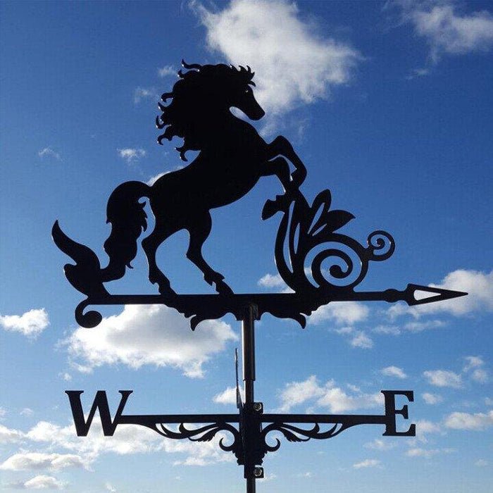 Eccentric Weather Vane - Garden Wind Style