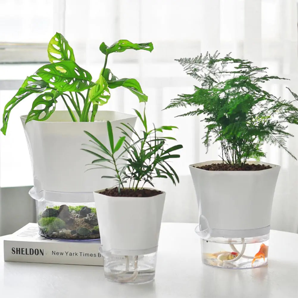 AquaPlanter - Smart Plant Pot and Mini Aquarium in One