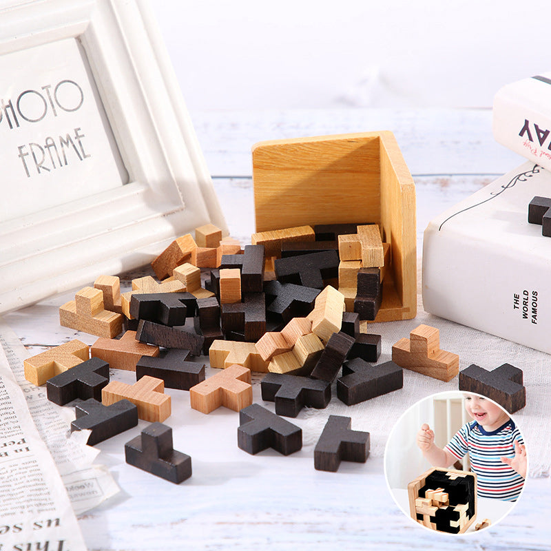 Wooden Intelligence Puzzle Brain Teaser Game