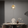 Modern Aluminium Glass Pendant Light – LumaLite