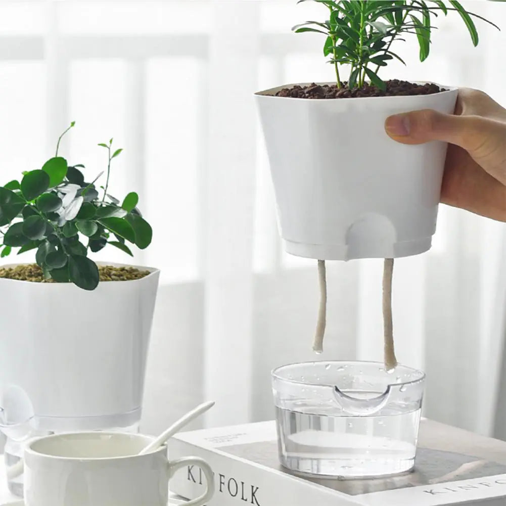 AquaPlanter - Smart Plant Pot and Mini Aquarium in One