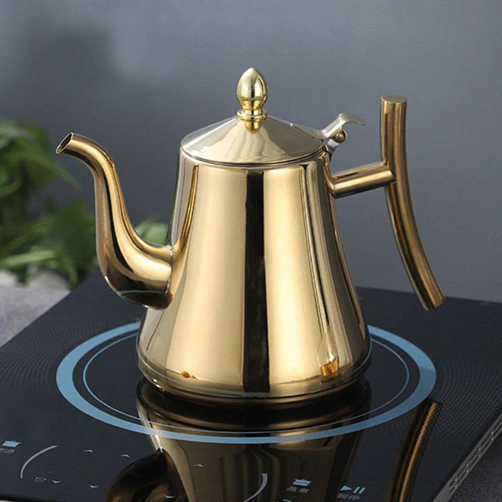 Induction Kettle in Stainless Steel with Filter - AquaSteel