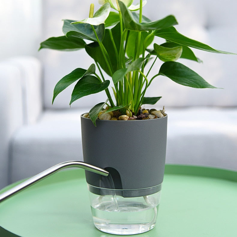 Self-Watering Plant Pot – AquaBloom