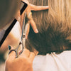 Professional Hair Cutting & Thinning Scissors Set