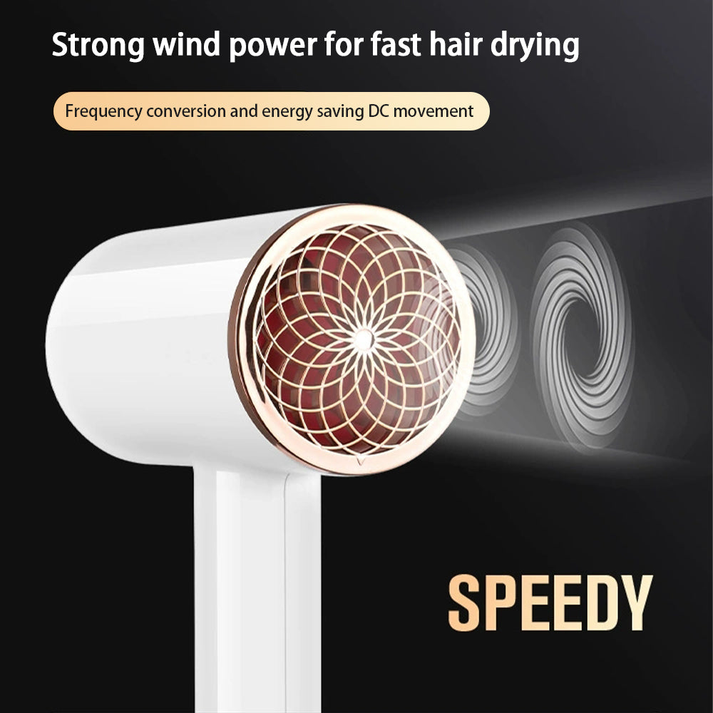 Professional Hair Dryer 2400W with Cool and Warm Air - Negative Ions - Powerful Hairdryer for Salon Results