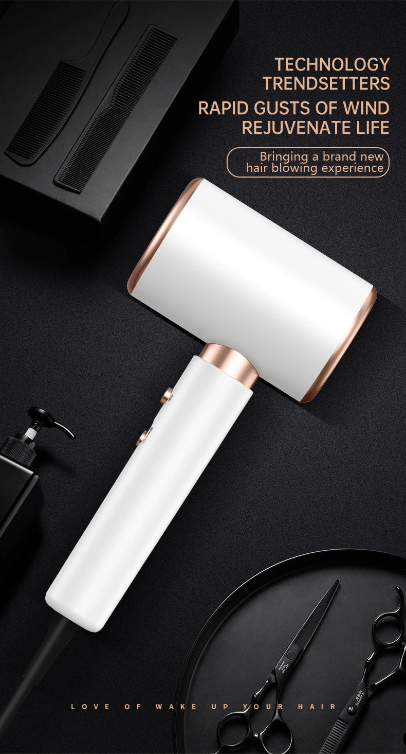 Professional Hair Dryer 2400W with Cool and Warm Air - Negative Ions - Powerful Hairdryer for Salon Results