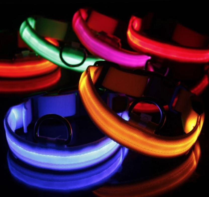 HondVeilig Pro - LED Collar for Dogs - Feel Safe and Stylish While Walking