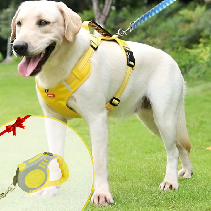 FlexPet Anti-Pull Dog Harness - Breathable