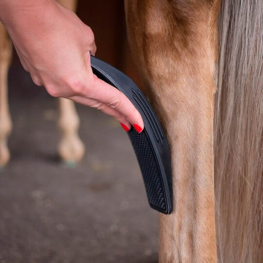 6-in-1 Horse Grooming Brush - EquiGlow