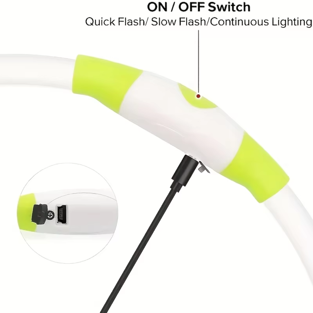 GlowSafe LED Dog Collar – Rechargeable USB Safety Light