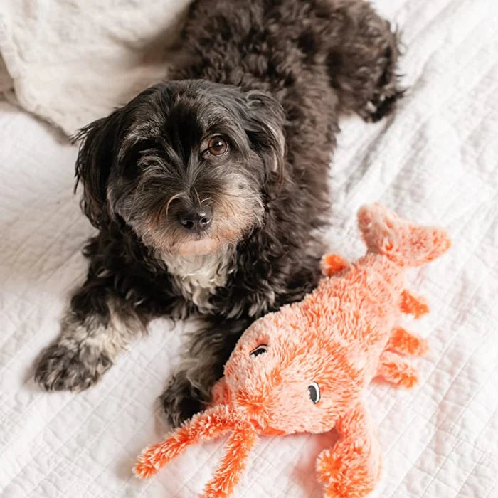 Movable Dog Toy with Motion Sensor - PlayPal
