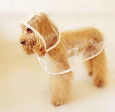 Transparent Waterproof Rain Jacket for Dogs - DryPaw