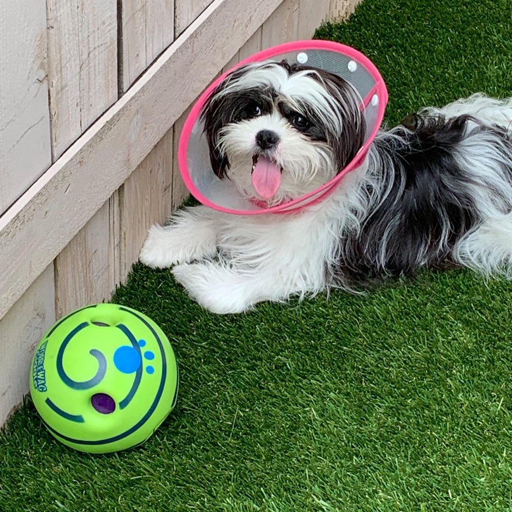 Interactive Play Ball for Dogs - GiggleSphere