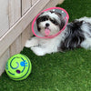 Interactive Play Ball for Dogs - GiggleSphere