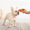The Indestructible Playmate for Dogs – KryptoChew