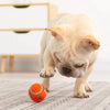 The Indestructible Playmate for Dogs – KryptoChew