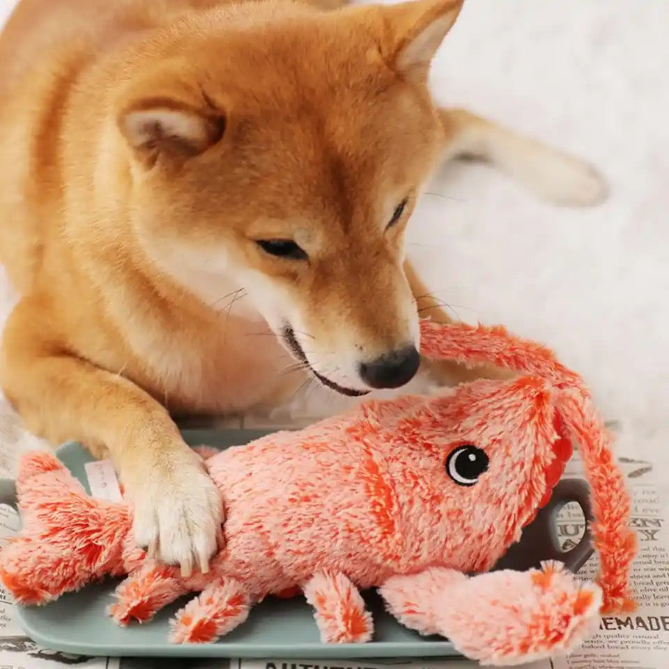Interactive Dog Toy - BouncyLobster