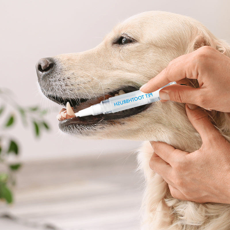 Pet Toothbrush Pen - PetSmile