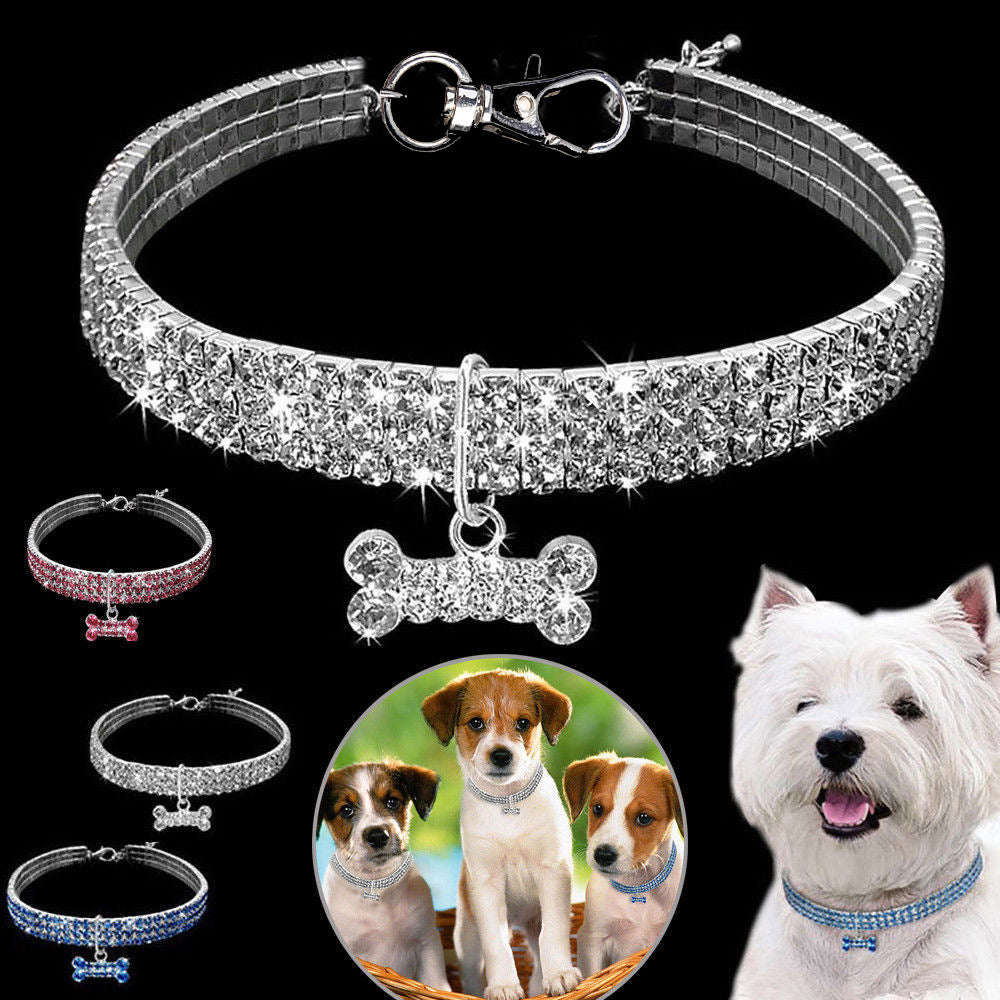 Premium Pet Collar - Bling It On