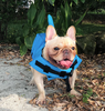 Dog Life Jacket - AquaPup