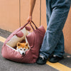 Dog Car Bed - BearBuddy