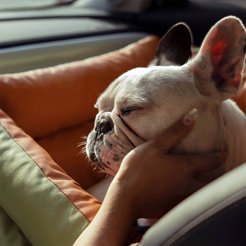 Comfortable Winter Dog Car Seat - PawLuxury