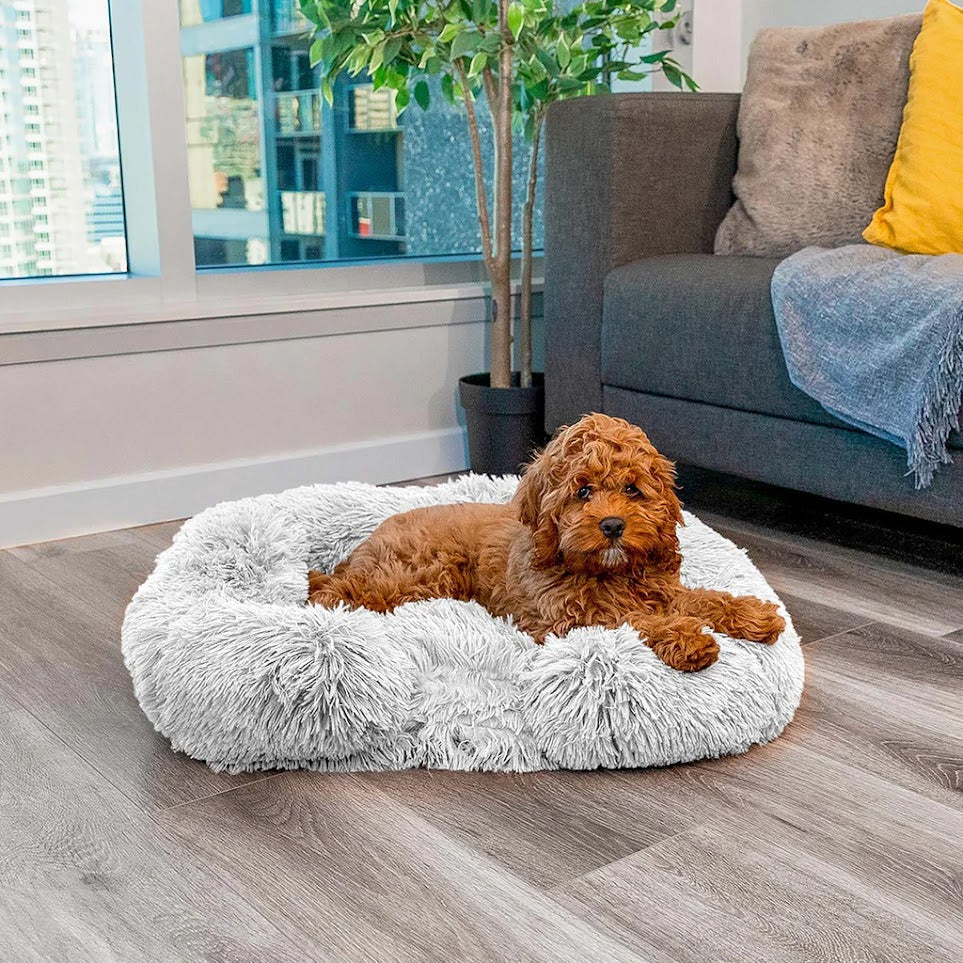 Calming Dog Bed with Memory Foam - Charlie