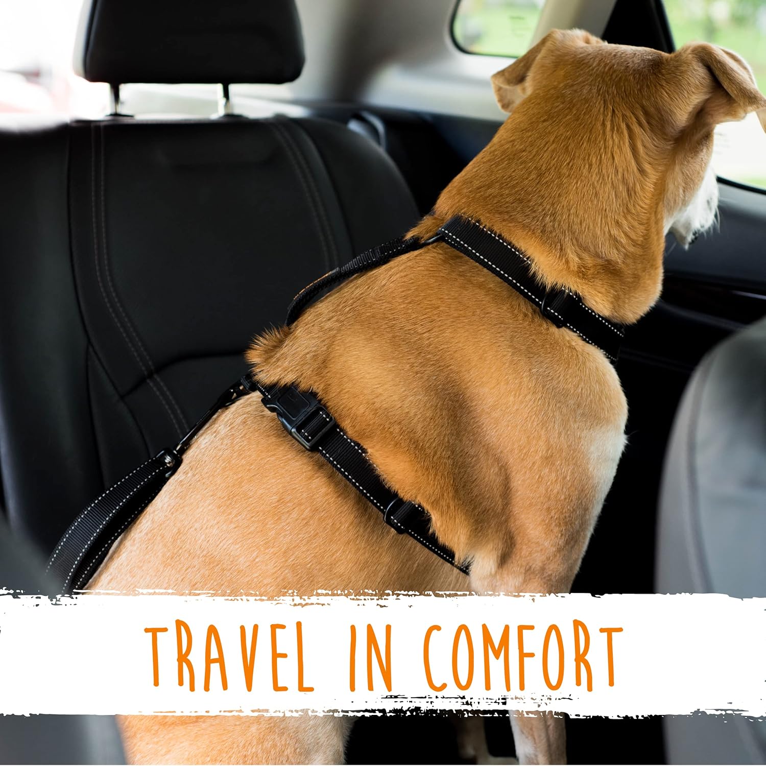 Dog Safety Harness – Secure Your Pet in Seconds!