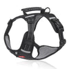 Anti-Pull Harness for Dogs - FlexiFit