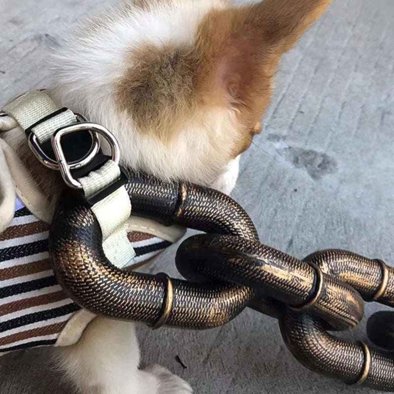 Cool and Fun Dog Lead - PawChic