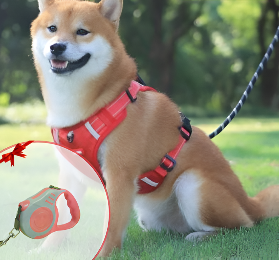 Anti-Pull Harness for Dogs - FlexiFit