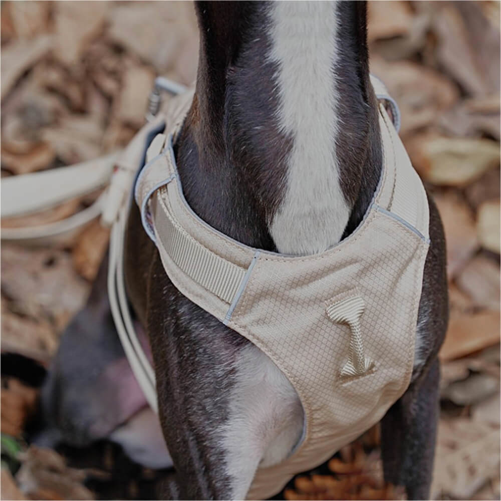 Anti-Pull Dog Harness with Multifunctional Lead - AquaCool