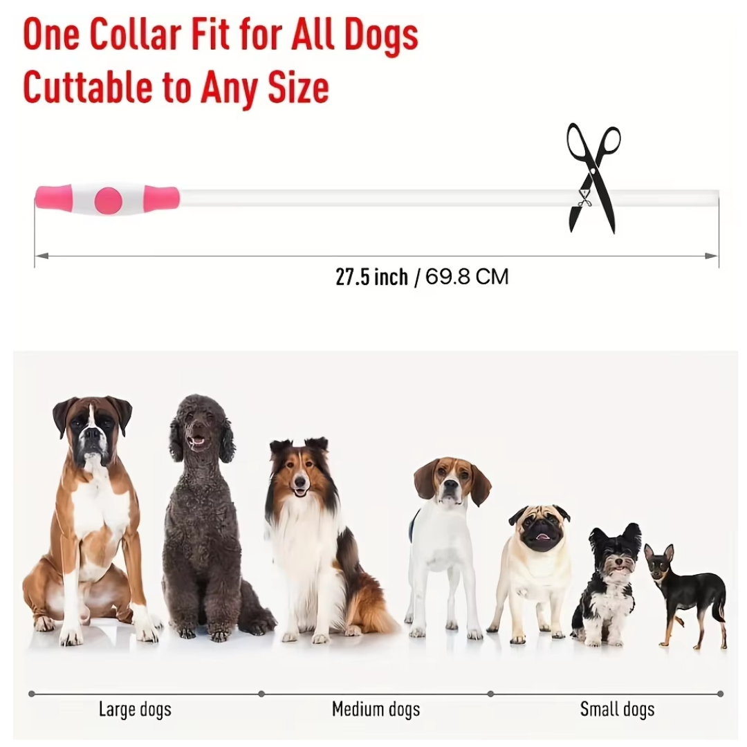 GlowSafe LED Dog Collar – Rechargeable USB Safety Light