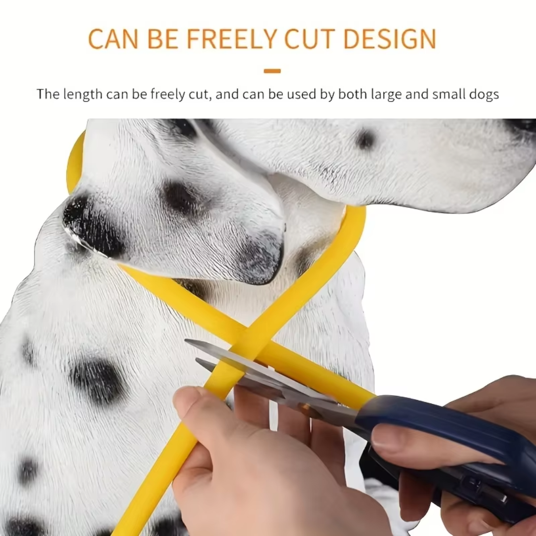 GlowSafe LED Dog Collar – Rechargeable USB Safety Light