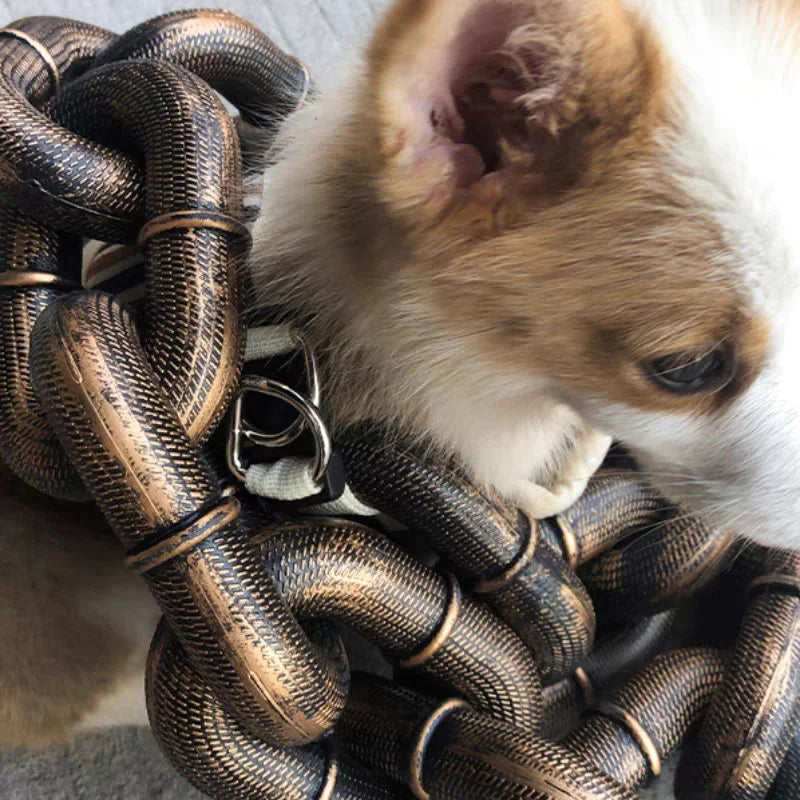 Cool and Fun Dog Lead - PawChic