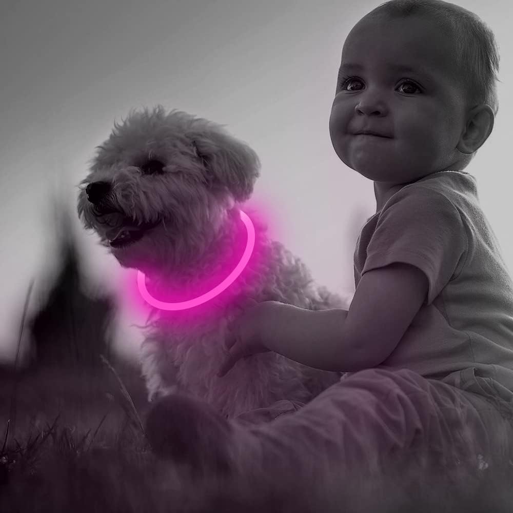 GlowSafe LED Dog Collar – Rechargeable USB Safety Light
