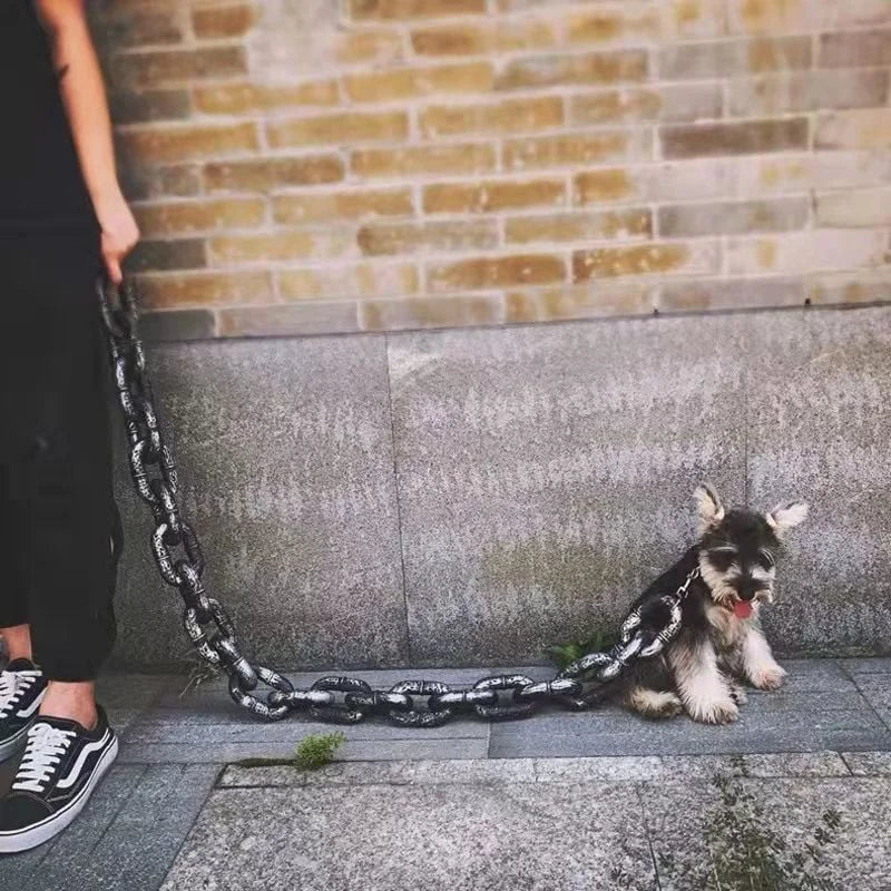 Cool and Fun Dog Lead - PawChic