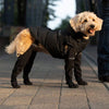 Boots for Safe Outdoor Adventures – PawShield