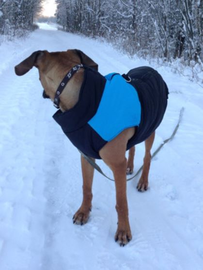 CozyPaws Dog Coat - Warm & Waterproof