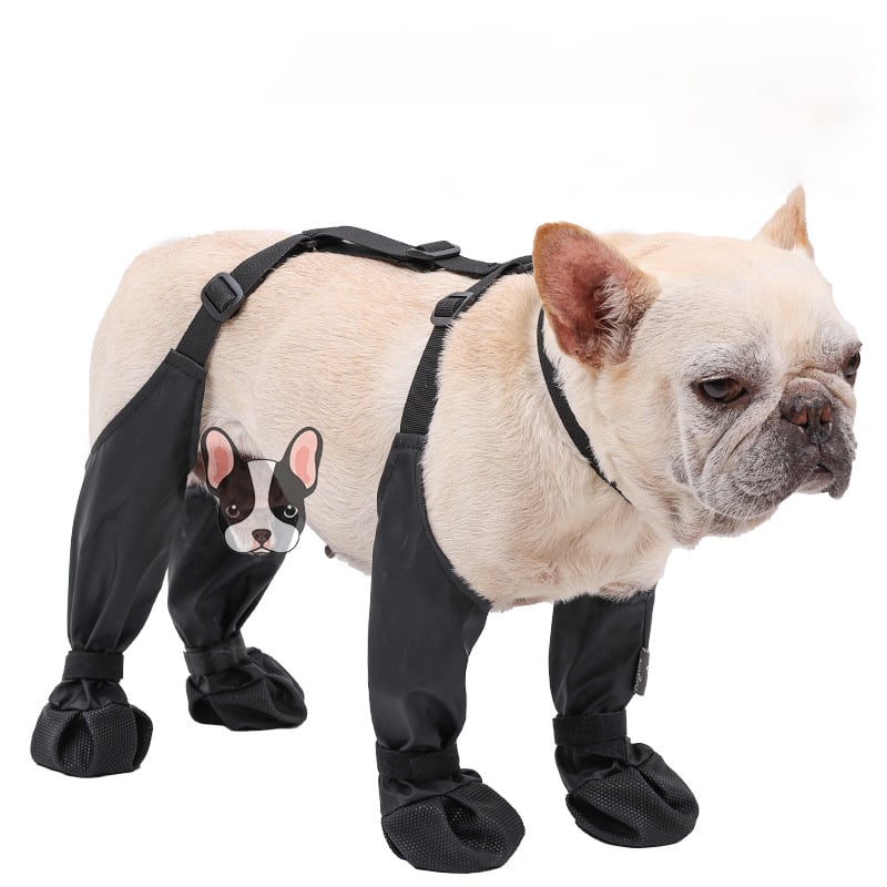 Boots for Safe Outdoor Adventures – PawShield