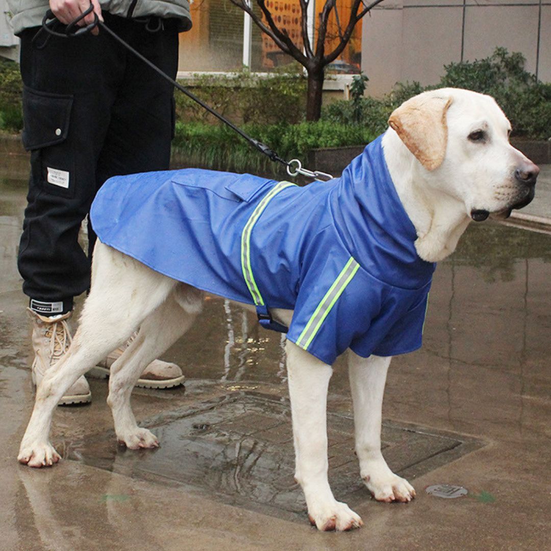 Waterproof Autumn Dog Jacket - StormPaw