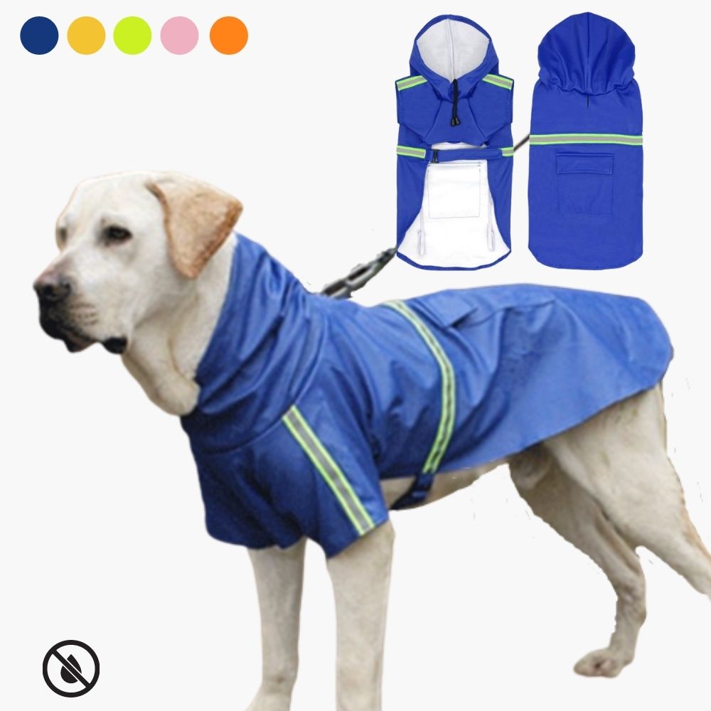 Dog Rain Jacket - Autumn Magic RainGuard Pro