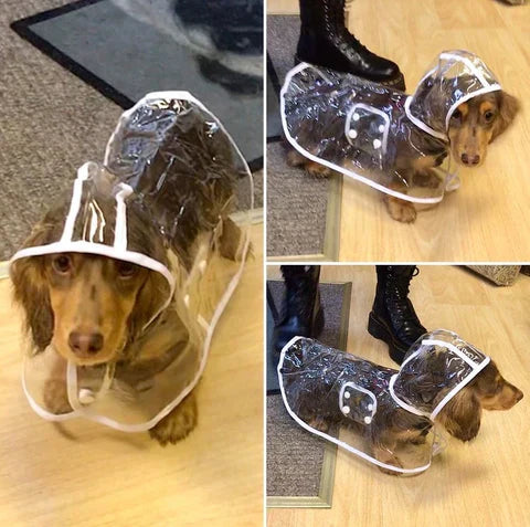 Transparent Waterproof Rain Jacket for Dogs - DryPaw