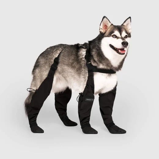 Boots for Safe Outdoor Adventures – PawShield