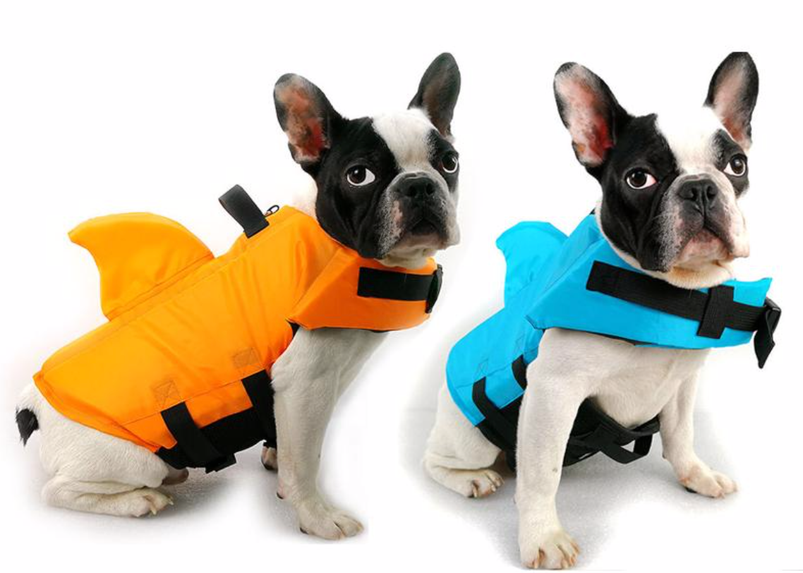 Dog Life Jacket - AquaPup
