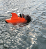 Dog Life Jacket - AquaPup